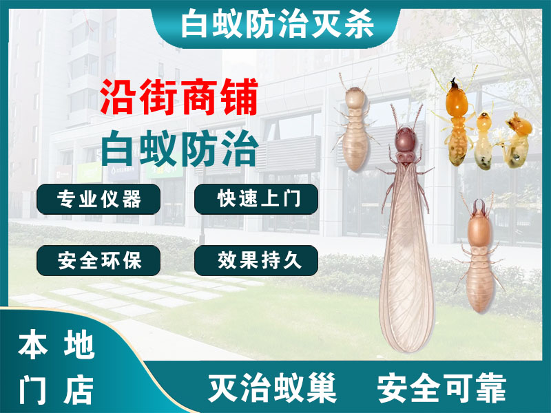 邗江区沿街商铺白蚁防治