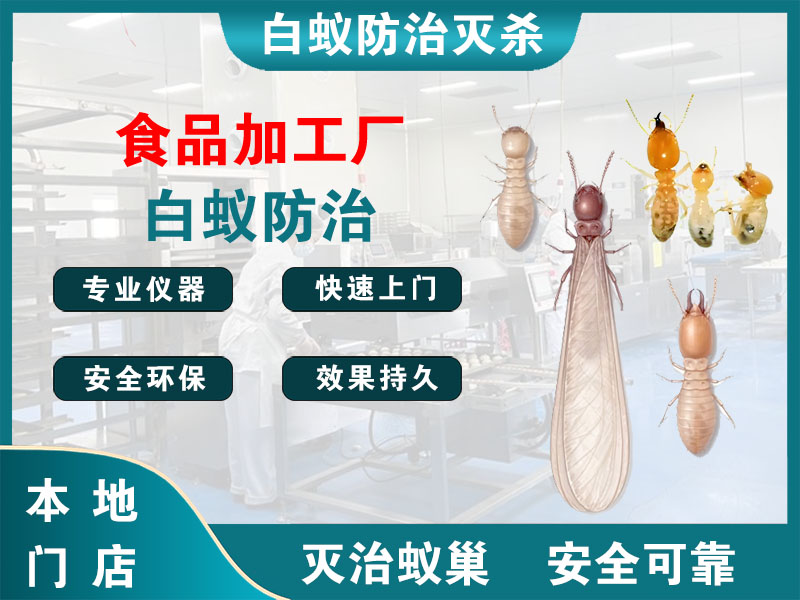 邗江区食品加工厂白蚁防治