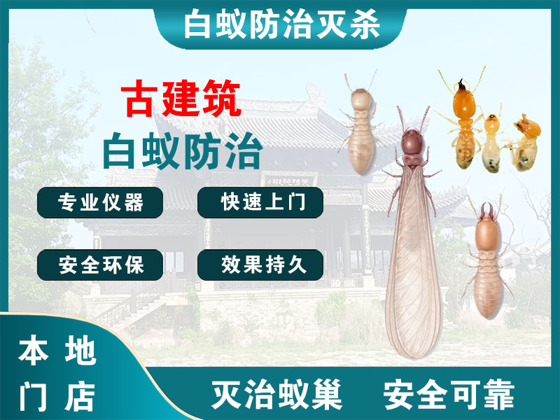 邗江区古建筑白蚁防治
