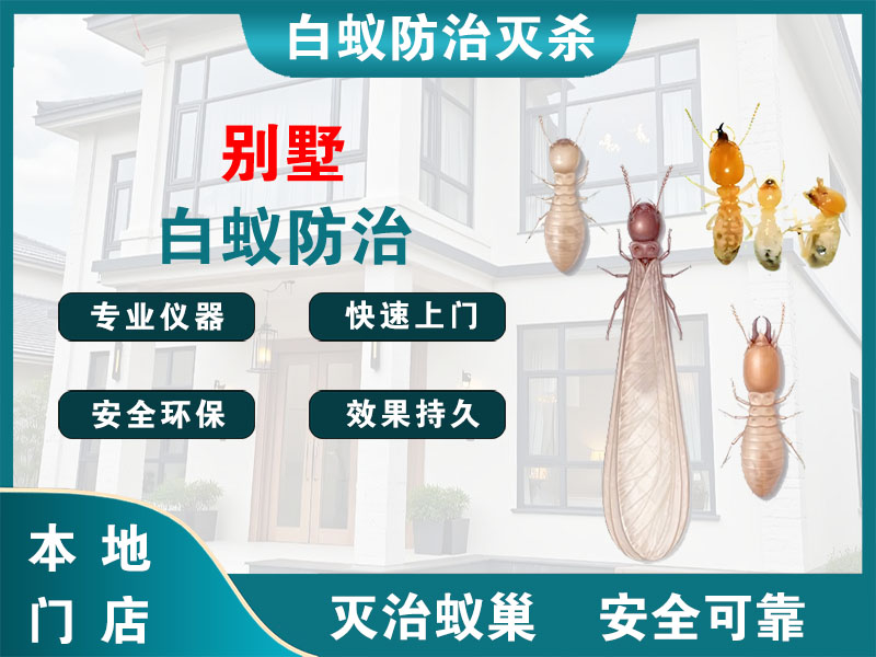 邗江区别墅白蚁防治
