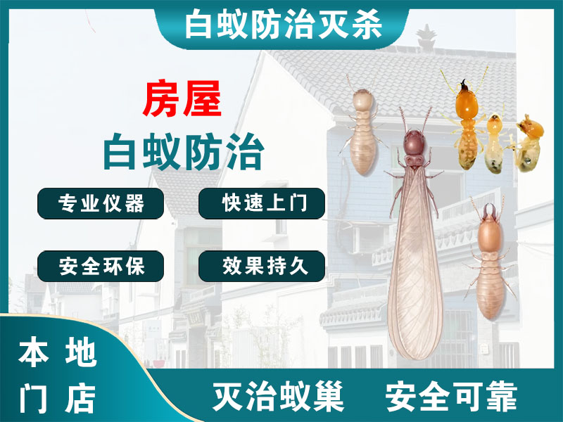 邗江区房屋白蚁防治